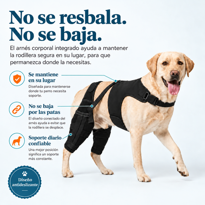 Rodillera Doble con Arnés para Perros