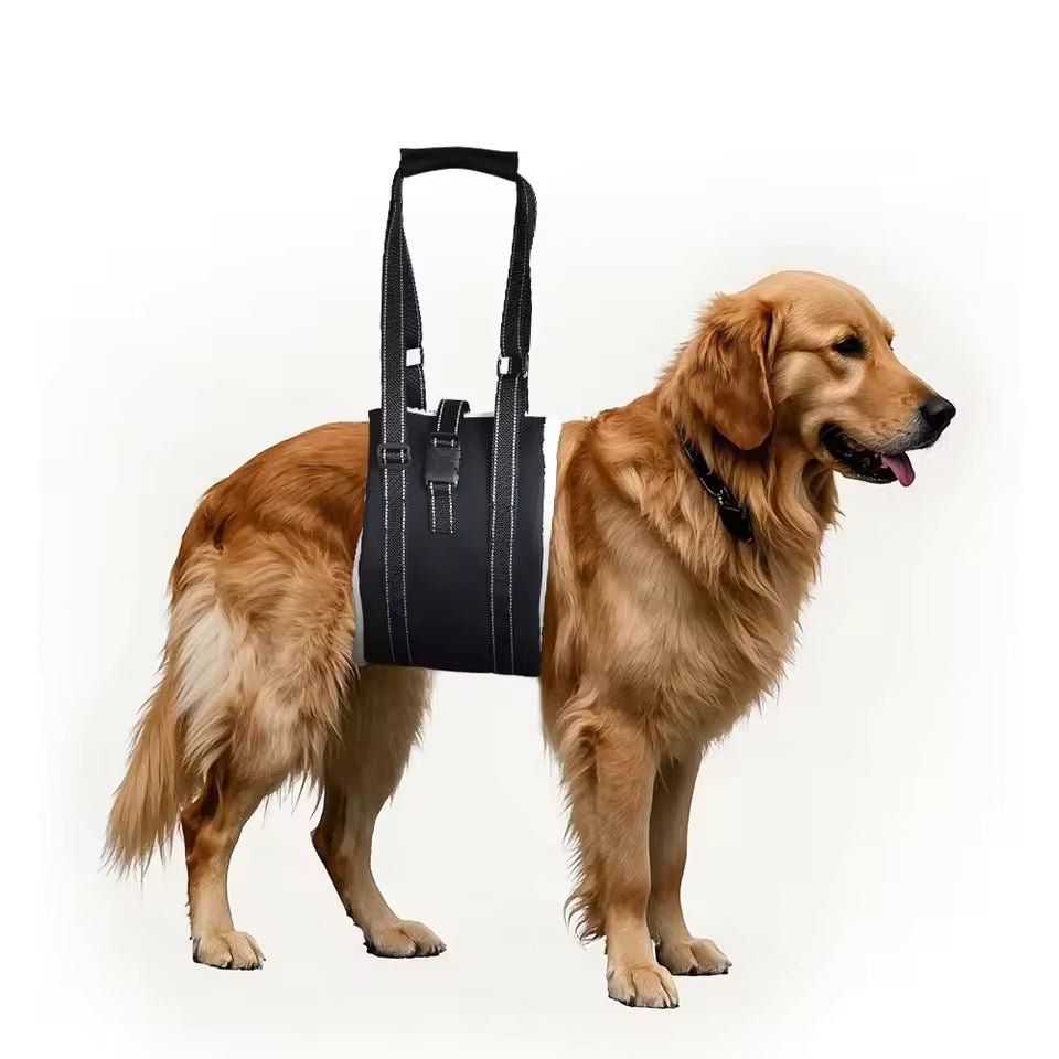 Arnés de Apoyo para Patas Traseras de Perros – Ajustable