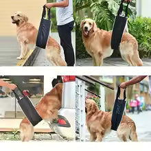 Arnés de Apoyo para Patas Traseras de Perros – Ajustable